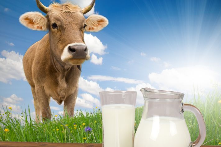 Milk alternative drinks and iodine concern