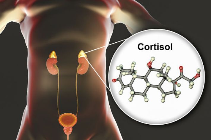 About congenital adrenal hyperplasia