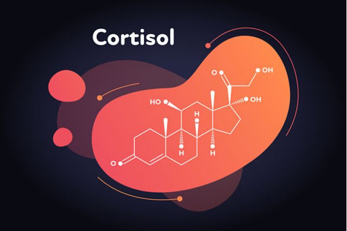 stress hormone - cortisol