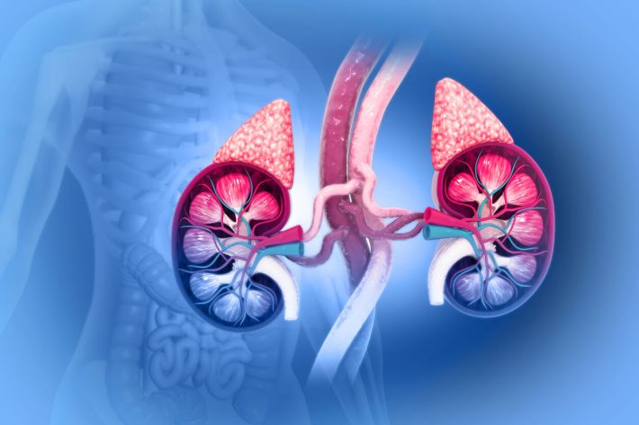 What is a Phaeochromocytoma?