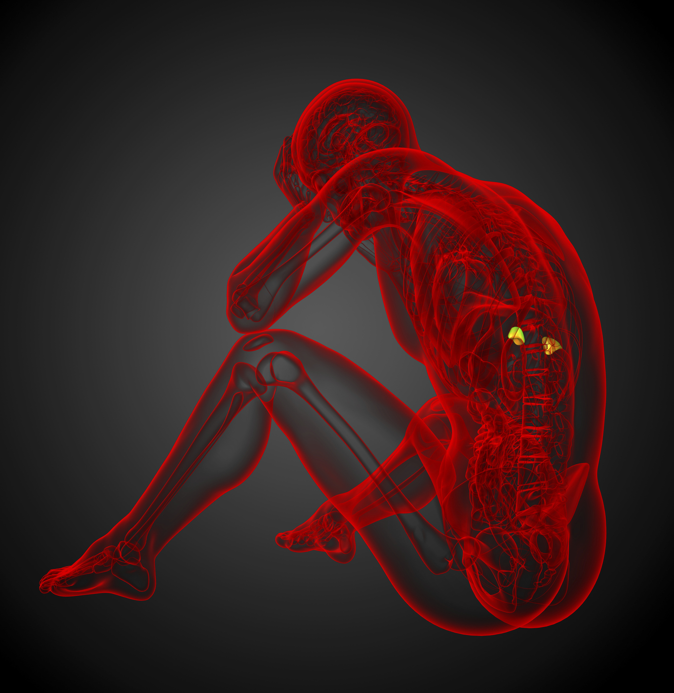 The adrenal glands