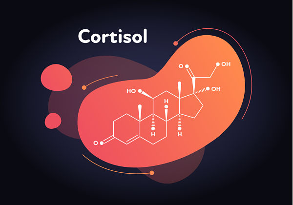 stress hormone - cortisol