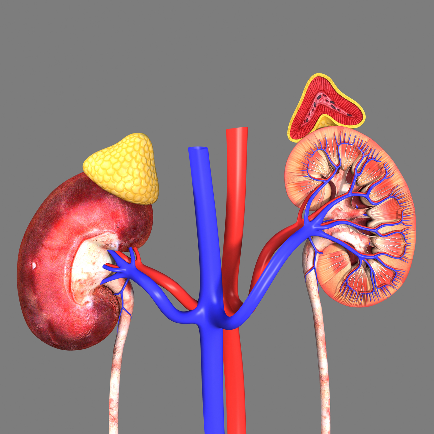 Adrenal gland disorders