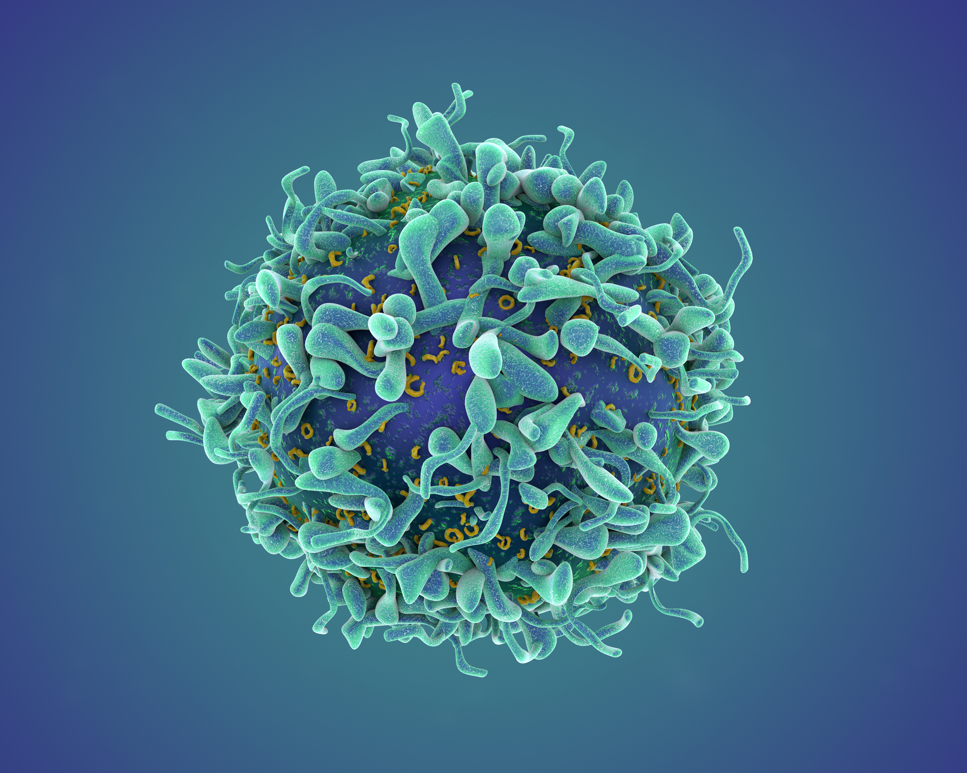 Cancer and checkpoint inhibitors in T-cells