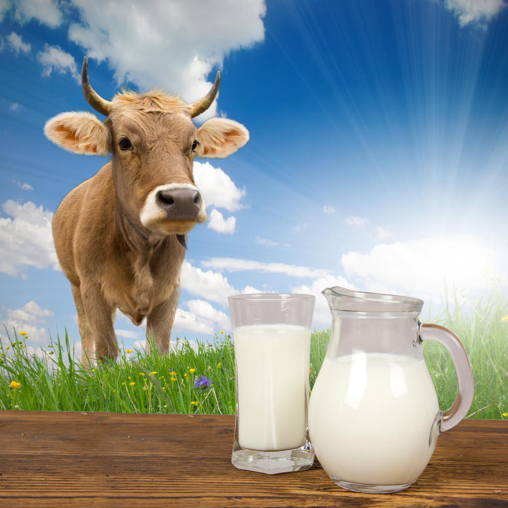 Milk alternative drinks and iodine concern