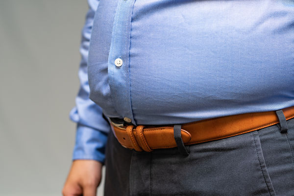 what are body fat hormones